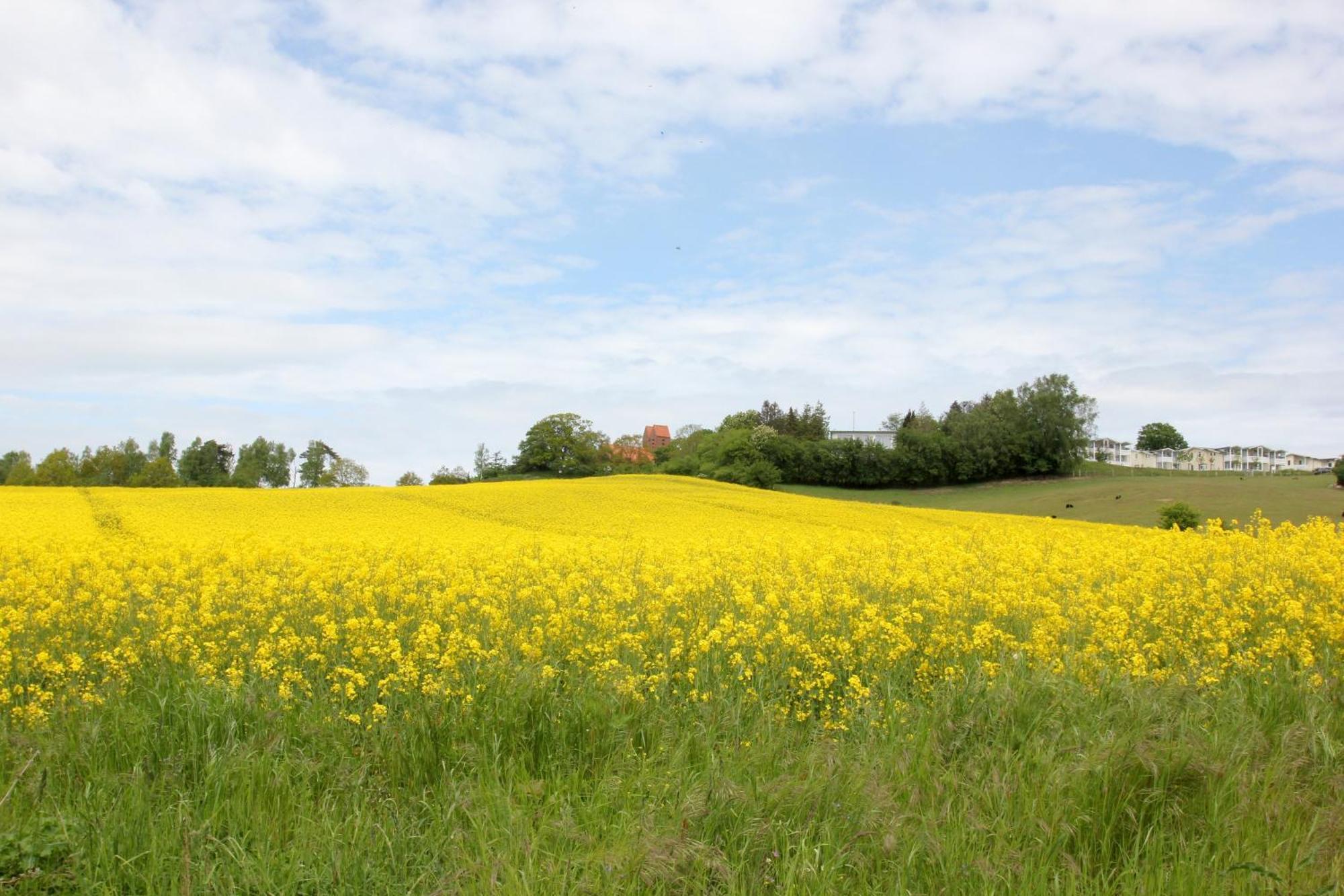 Mit Meerblick Und Balkon, Gratis Nutzung Vom Ahoi Erlebnisbad Und Sauna In Sellin - Meeresblick Fewo 48 Goehren  Exteriör bild